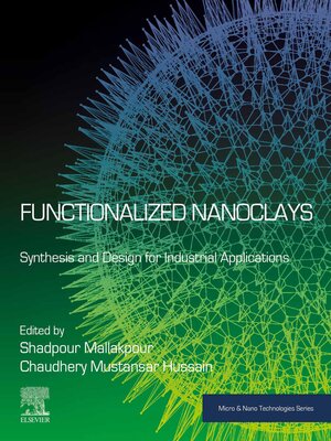 cover image of Functionalized Nanoclays